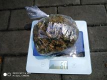 FOTO: Velký zátah na dealery drog na Kladensku! Akce měla krycí název Skank