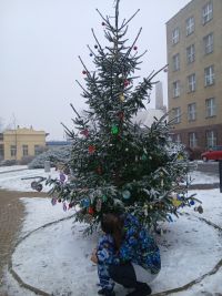 Nemocnice zve právě teď na zdobení stromku, koledy a cukroví