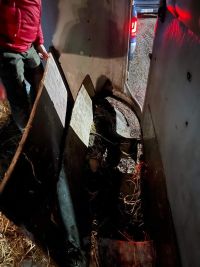 Foto: Kůň se v Nových Ouholicích za jízdy propadl shnilou podlahou přívěsu a stovky metrů brousil kopyty zem
