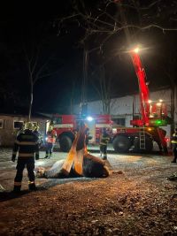 Foto: Kůň se v Nových Ouholicích za jízdy propadl shnilou podlahou přívěsu a stovky metrů brousil kopyty zem