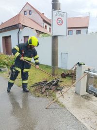 Lijáky zaměstnaly hasiče. Ve Stehelčevsi hlídali potok