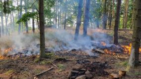 O víkendu hasiči likvidovali 68 požárů. V horku se požár šířil rychle, malý požár se během chvilky rozhořel na deseti hektarech