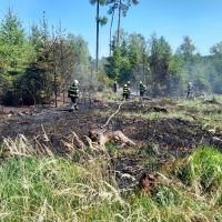 V sobotu hořel les u Kamenných Žehrovic