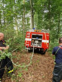 Ve Svinařově hasiči likvidovali úmyslný lesní požár