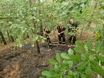 Ve Svinařově hasiči likvidovali úmyslný lesní požár