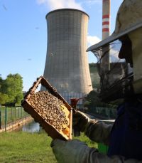 Včelaři v kladenské teplárně vyhlížejí první med