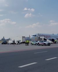 Na ruzyňské letiště přiletěla nejstarší cestující všech dob, Lucy