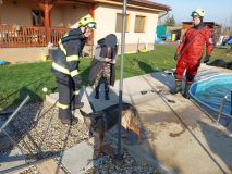 Hasiči zachraňovali v Beřkovicích chlupáče z bazénu