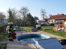 Hasiči zachraňovali v Beřkovicích chlupáče z bazénu
