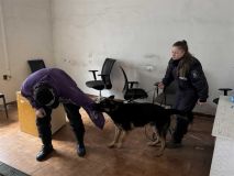 Služební hafani a psovodi trénovali v areálu Poldovky