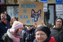 Na dvě stovky demonstrantů přijelo pět policejních aut. U brány radnice chtěli nechat lampiony