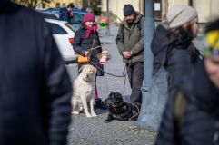 Na dvě stovky demonstrantů přijelo pět policejních aut. U brány radnice chtěli nechat lampiony