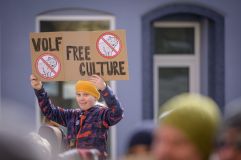 Na dvě stovky demonstrantů přijelo pět policejních aut. U brány radnice chtěli nechat lampiony