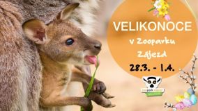 Zoopark Zájezd přichystal na letošní Velikonoce pětidenní program pro děti i dospělé