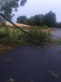 Dvacet stromů na silnicích, kuriózní dopravní nehoda či požár elektrické koloběžky. Od dnešní noci mají hasiči napilno