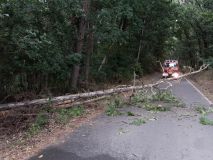 Dvacet stromů na silnicích, kuriózní dopravní nehoda či požár elektrické koloběžky. Od dnešní noci mají hasiči napilno