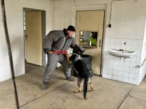 Ve Slaném se cvičili psovodi