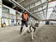 Ve Slaném se cvičili psovodi