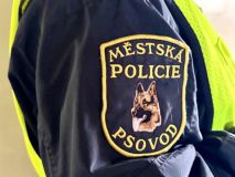 Ve Slaném se cvičili psovodi