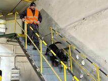 Ve Slaném se cvičili psovodi