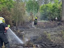 Požár lesa zaměstnal 19 jednotek