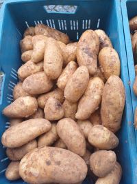 Na farmářský trh na Kladno můžete vyrazit pro jahody. Za kolik budou?