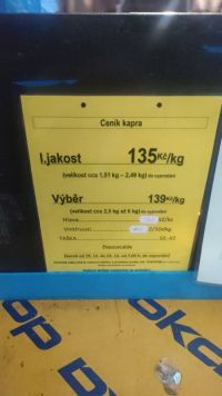 Pozor při prodeji kaprů! V Kralupech byla škoda čtyři sta