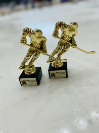 Gladiators ovládli premiérový ročník Golden Hockey Cupu