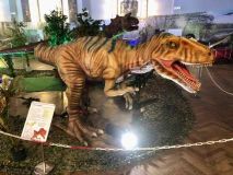 V kulturáku na Sítné byla interaktivní dinosauří výstava Dino Expo