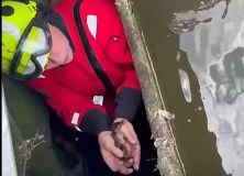 Nic roztomilejšího dnes neuvidíte! V Červeném Újezdě hasiči zachraňovali kachnátka