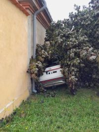 Auto ve stromu. Hasiči museli strom rozřezat