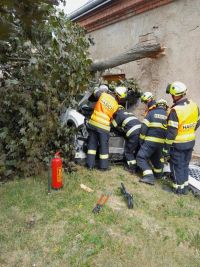 Auto ve stromu. Hasiči museli strom rozřezat