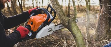 Na Sítné se bude kácet