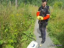 Kladenští strážníci zachraňovali sovu, zajíčka, kachnu a další zvířectvo