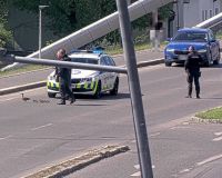 Strážníci zachránili kachní rodinku před masakrem. Převedli je přes Štěchovu