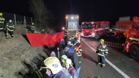 Atualizace: Nákladní auto s třemi desítkami krav havarovalo na dálnici D8. Dálnice ve směru na Prahu bude uzavřena zřejmě do odpoledních hodin