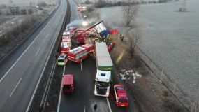 Atualizace: Nákladní auto s třemi desítkami krav havarovalo na dálnici D8. Dálnice ve směru na Prahu bude uzavřena zřejmě do odpoledních hodin