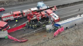 Atualizace: Nákladní auto s třemi desítkami krav havarovalo na dálnici D8. Dálnice ve směru na Prahu bude uzavřena zřejmě do odpoledních hodin