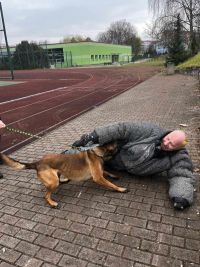 Kladenští psovodi z Městské policie vyjeli za dětmi do Mostu