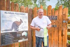 Novou průchozí expozici pro klokany v Zooparku Zájezd otevřel Antonín Panenka