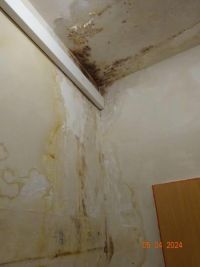 V rakovnické Zlevněnce našli inspektoři myši, larvy a plísně
