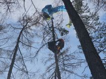 Obrazem: Paraglidista uvízl v šestnáctimetrové výšce v koruně modřínu. Takto probíhala jeho záchrana