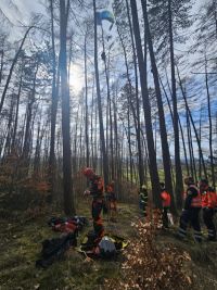 Obrazem: Paraglidista uvízl v šestnáctimetrové výšce v koruně modřínu. Takto probíhala jeho záchrana