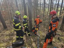 Obrazem: Paraglidista uvízl v šestnáctimetrové výšce v koruně modřínu. Takto probíhala jeho záchrana