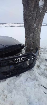 U Slaného Otrub narazilo v neděli auto do stromu