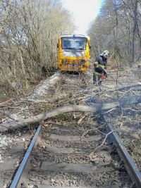 Spadlý strom zablokoval železnici, hasiči odklízeli v úterý stromy