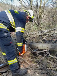 Spadlý strom zablokoval železnici, hasiči odklízeli v úterý stromy