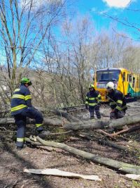 Spadlý strom zablokoval železnici, hasiči odklízeli v úterý stromy