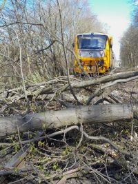 Spadlý strom zablokoval železnici, hasiči odklízeli v úterý stromy