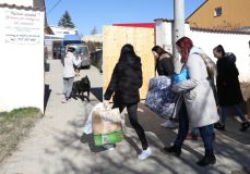 OBRAZEM: Kladenská škola E. Beneše pomohla kočičímu útulku